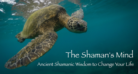 The Shaman's Mind Online Workshop