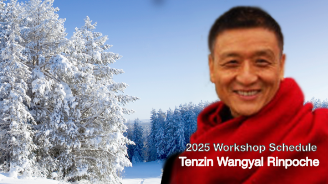 Tenzin Wangyal Rinpoche's 2025 Schedule